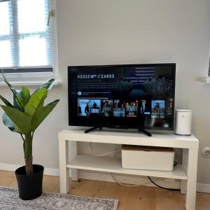 a television on a white stand in a living room at bella casa - Business&Family, Messe Flughafen in 5 min, SmartTV, Netflix, Waschmaschine, 24h Checkin, 35qm in Stuttgart +44 photos