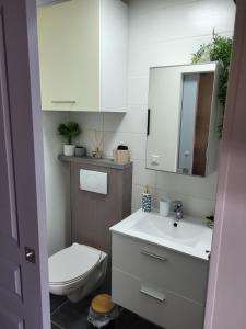 a bathroom with a toilet and a sink and a mirror at Jolie maison cosy en sologne in Romorantin +17 photos