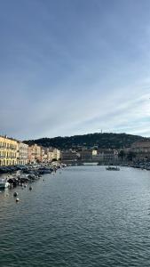 Naturlandskabet i nærheden af lejligheden