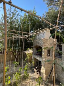 un invernadero con plantas creciendo en él en Casa Maria, en Gramvousá