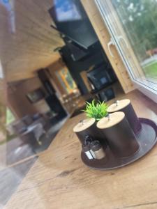 a table with two coffee cups with a plant in them at OlszeVita in Szteklin