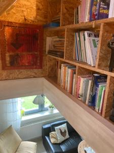 a living room with a book shelf with books at Apartmán pod lesem in Hazlov