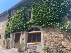 an ivy covered building with a bench in front of it at Ô banc de la vigne in Fabrezan