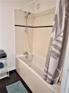 ein Badezimmer mit Badewanne und Dusche in der Unterkunft l'Etoile du Nord in Romainville