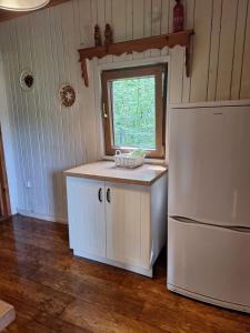 Gallery image of Klimatyczna chatka z widokiem na jezioro in Woryty