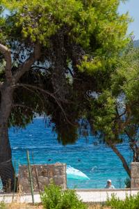 Gallery image of Blue Horizon Seaside Suite in Nikiana