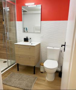 a bathroom with a toilet and a sink and a shower at Le charme du Cœur de ville in Dole +19 photos