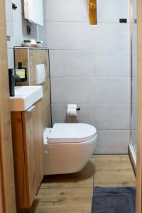 a bathroom with a toilet and a sink at Pirker Anden Chalet in Pirk +3 photos