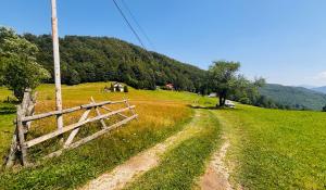 Afbeelding uit fotogalerij van Cottage Luca in Ciocanu +58 foto's