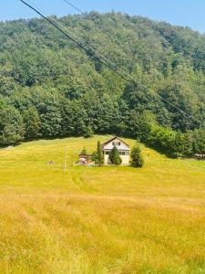 Afbeelding uit fotogalerij van Cottage Luca in Ciocanu