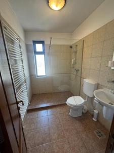 un baño con inodoro y lavabo en Pensiunea Casa Rica Calimanesti Caciulata, en Călimăneşti