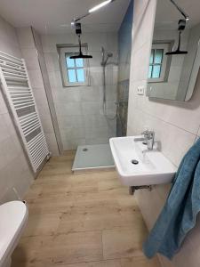 a bathroom with a sink and a shower and a toilet at Ferienhaus Helserdeich - Urlaub zwischen Brunsbüttel und Friedrichskoog in Helse +25 photos