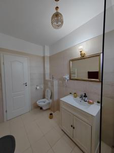 a bathroom with a toilet and a sink and a mirror at DML Apartment in Mamaia Nord
