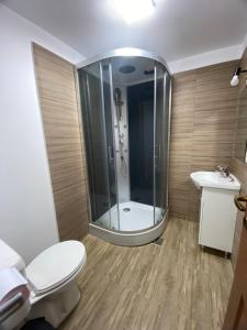 a bathroom with a shower and a toilet and a sink at Pensiunea Teodora Breb Maramu in Breb +38 photos