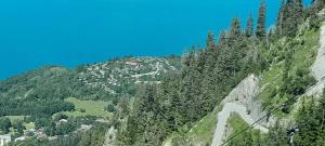 Příroda nedaleko chaty