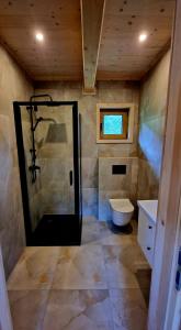 a bathroom with a shower and a toilet at Domek W Sercu Gór in Ochotnica Górna