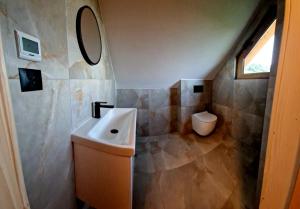 a bathroom with a sink and a toilet at Domek W Sercu Gór in Ochotnica Górna
