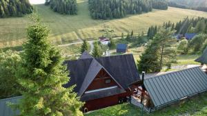 Príroda v okolí horskej chaty