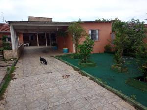 a black cat standing in front of a house at Casa da Diversidade para todos in Peruíbe