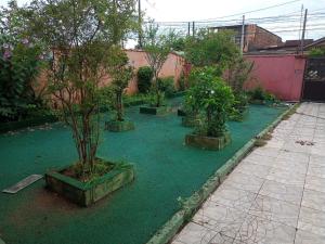 a row of potted trees in a garden at Casa da Diversidade para todos in Peruíbe