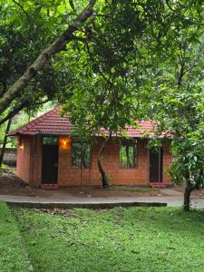 Κήπος έξω από το Elysium Vista Home Stay