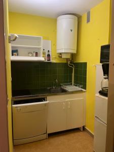 Kuchyň nebo kuchyňský kout v ubytování Les Vacances de Nalian Appartement au pied des pistes + 4 fotografie