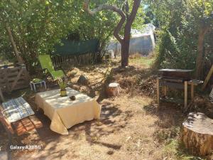 Zahrada ubytování maison de campagne