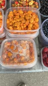 vier plastic recipiënten gevuld met verschillende soorten levensmiddelen bij Retreat House in Lauvas