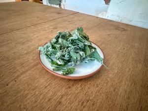 een bord met groenten op een houten tafel bij Retreat House in Lauvas