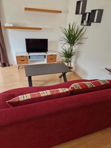 TV a/nebo společenská místnost v ubytování Burgblick
