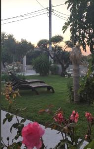 Gallery image of Stacy's Studios in Kremasti