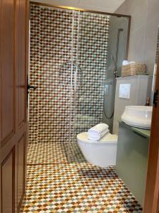 a bathroom with a shower with a toilet and a sink at H&B COSTABLANCA in Villajoyosa