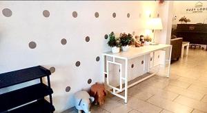 a room with a wall with holes in it at Ozzy Lodge Semporna in Semporna