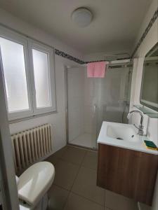 ein Badezimmer mit Waschbecken, Toilette und Dusche in der Unterkunft Bristol Manor N20 terrasse cuisine et chambre in Néris-les-Bains