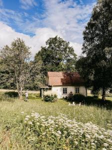 a person standing in front of a house in a field at Cozy wooden house with wood stove in Småland in Stenberga +32 photos