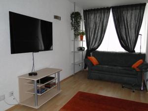Μια τηλεόραση ή/και κέντρο ψυχαγωγίας στο Alb Studio in Sankt Blasien