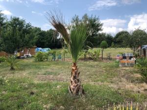 Zahrada ubytování PARKING pour petit transporteur de passage, calme no stress assuré