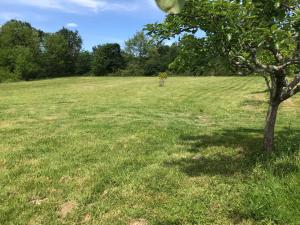 Příroda nedaleko kempu + 6 fotografií