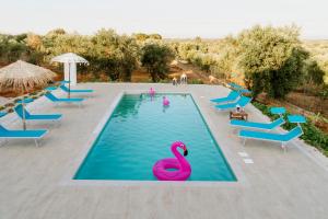 オストゥーニにあるLa Terrazza sugli Ulivi - con PISCINA PANORAMICAの水中のピンクの白鳥が泳ぐスイミングプール