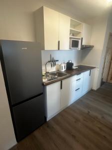 Kuchyň nebo kuchyňský kout v ubytování Apartmány Kadov 88