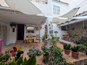 a patio with a lot of plants and an umbrella at Casa Paula in Orcheta