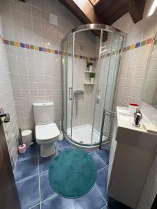 a bathroom with a shower and a toilet and a sink at Andrín Golf y Playa in Llanes