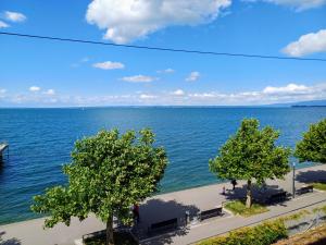 a view of a large body of water at Studio Marylin in Rorschach