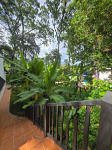 Vườn quanh Cabaña Alpina Monte Carlo