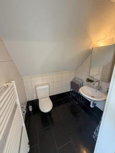 a bathroom with a white toilet and a sink at LOFT WINTERZEIT - NEAR INTERLAKEN SPIEZ THUN - Wandern und Skifahren in Wimmis +51 photos
