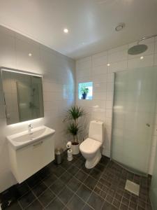 Et badeværelse på Holiday home Båstad, 8 beds + 6 billeder