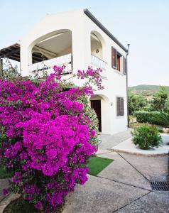 a white building with purple flowers in front of it at Dimora degli ulivi in Badesi