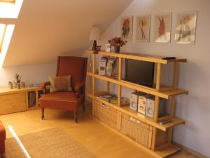 sala de estar con TV y silla en Elegante Ferienwohnung mit Kaminofen im Thüringer Wald, en Manebach