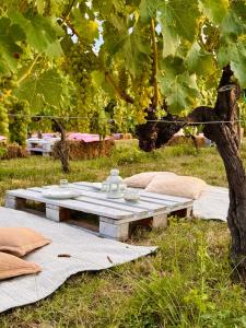 una mesa de picnic en la hierba bajo un árbol en Appartamento VerdeVigna, en Rignano sullʼArno