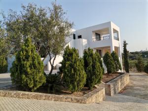a white house with trees in front of it at Jimmy's Romantic Getaway in Egina +11 photos